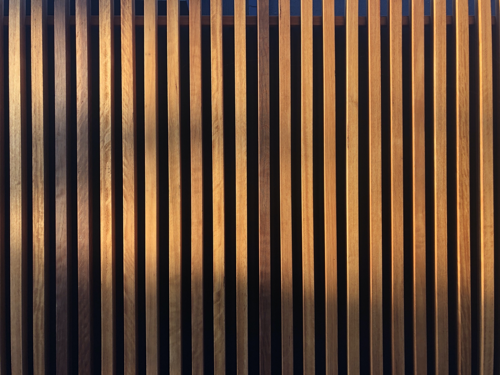 RAHAA_SurfCoastHouse_IanSercombeArchitect_ClaudiaGabrielLimPics_06.jpeg